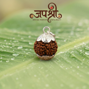 5 Mukhi Rudraksha