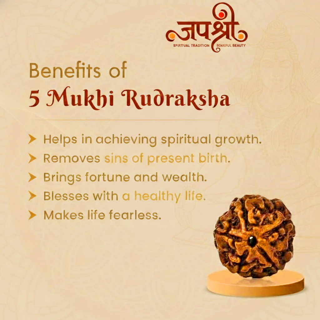 5 Mukhi Rudraksha