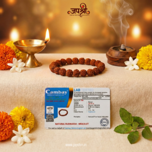 5 Mukhi Rudraksha Bracelet