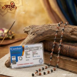 Divya Raksha Rudraksha & Karungali Mala with Silver Capping