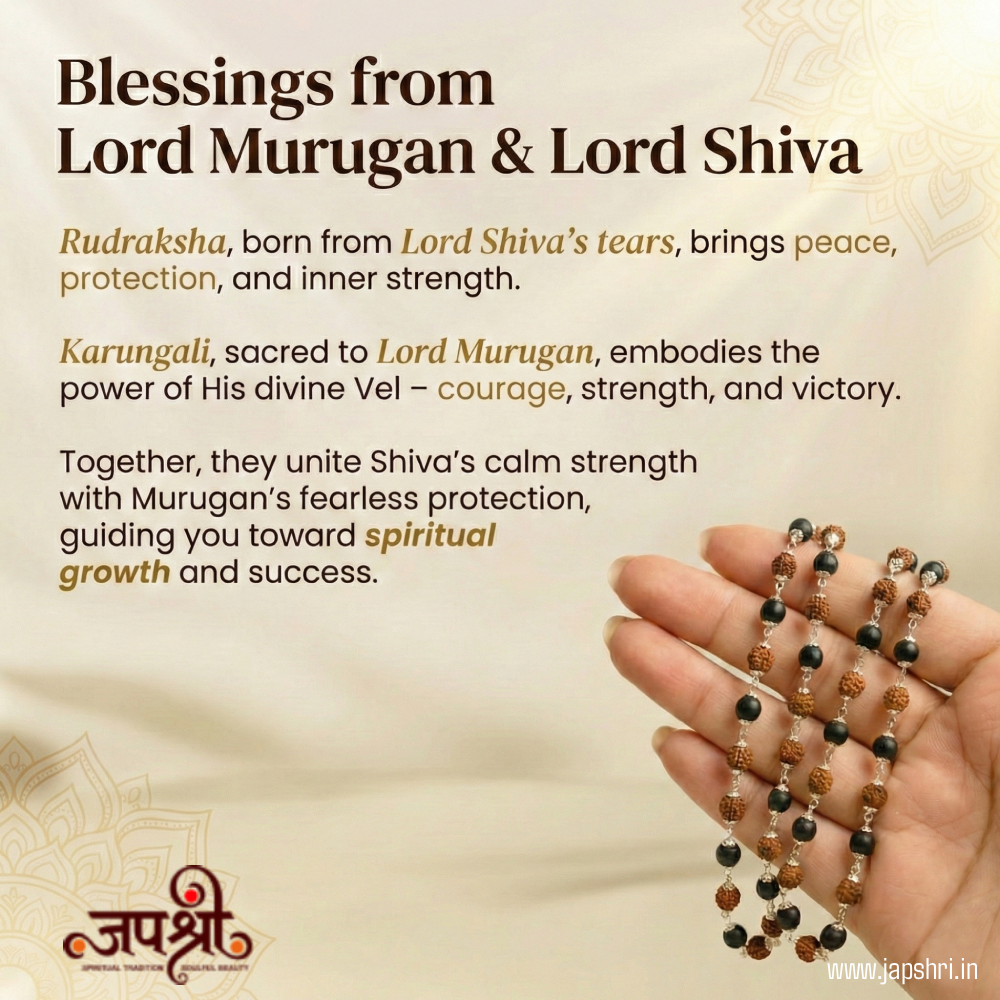 Divya Raksha Rudraksha & Karungali Mala with Silver Capping