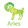 Aries Bracelet